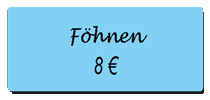 Preis Foehnen